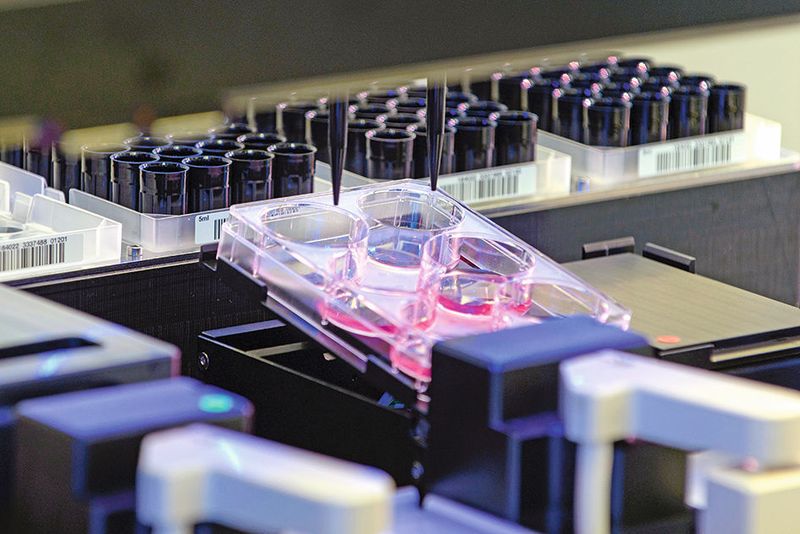 Um Proben leichter pipettieren zu können, wird der Probenbehälter leicht gekippt. (Bildschoen/Fraunhofer)