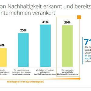 Lediglich 30 Prozent verfügen über eine ganzheitliche Nachhaltigkeitsstrategie. (Bild:  IDC)