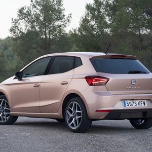 Der TGI unterscheidet sich optisch nicht von dem normalen Ibiza – zumindest nicht von der dynamischeren FR-Linie.(Bild:  Seat)
