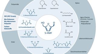 PEF wird hergestellt auf Basis von Furandicarbonsäure (FDCA), einem Folgeprodukt von 5-HMF. (AVA-CO2 Schweiz)