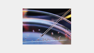 Webinar Listing: gettyimages