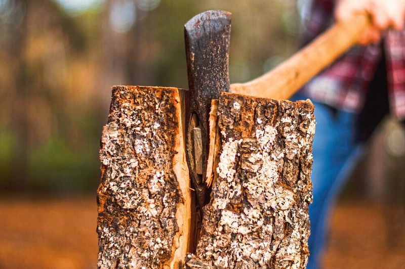 Statt mechanische Kraft nutzen Forscher flüssige Salze, um Holzfasern aufzuschließen (Symbolbild). (Bild: gemeinfrei, Abby Savage)