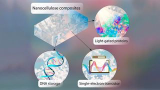 A team at Julius-Maximilians-Universität (JMU) Würzburg is developing DNA chips made from semiconducting, bacteria-produced nanocellulose. (Image:Chair of Bioinformatics at the University of Würzburg)