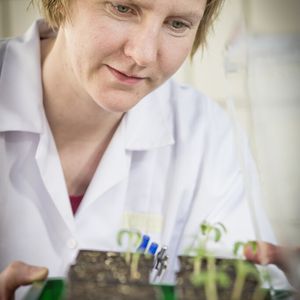 (Bild: Lunghammer - TU Graz)