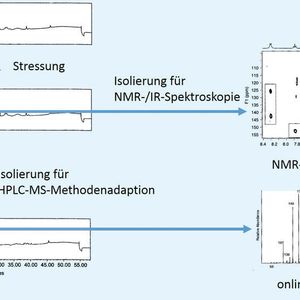 (Analytical Services)