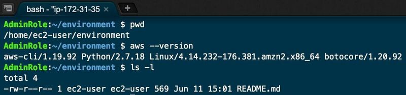 AWS CLI gehört natürlich zu den mitgelieferten Tools.