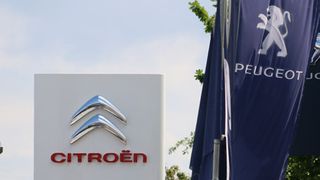 41123728 (Foto: Baeuchle)