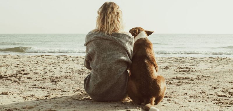 Eine aktuelle Studie hat ergeben, dass Hunde die Schmerzwahrnehmung und Schmerzbewältigung bei Menschen positiv beeinflussen können. (Symbolbild)(Bild:  Oleksandra - stock.adobe.com)