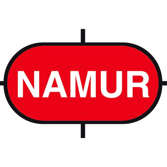 Die Namur hat das Arbeitsblatt NA 181 herausgebracht.(Logo: Namur)
