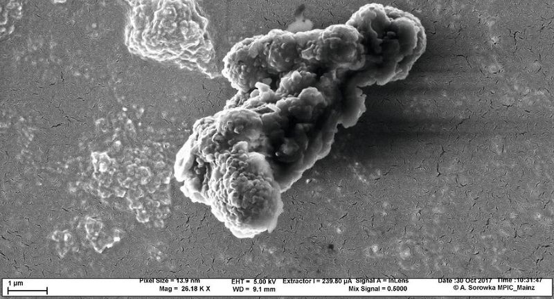 Elektronenmikroskopische Aufnahme eines Rußpartikels zusammengesetzt aus Kohlenstoff-Nanopartikeln.(Bild:  Antje Sorowka, MPI für Chemie)