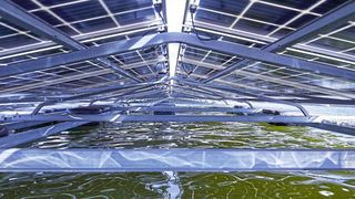 PV-Anlagen werden auch auf Gewässern, die nicht für touristische oder ökologische Bewirtschaftung vorgesehen sind, errichtet.  (Bild: Phoenix Contact)