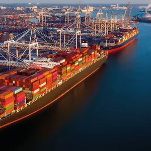 Schiffsbelader sind zentrale Komponenten beim Massengutumschlag in Häfen. Ungeplanter Stillstand führt zu hohen Kosten. (Bild:  Anita van den Broek/Shutterstock)