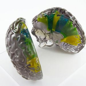 Mit Polyjet können transparente und farbige Materialien kombiniert werden.(Bild:  Materialise)