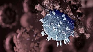 Das Covid-19-Virus kann Erkrankte auch zu Long-Covid-Patienten werden lassen. Das hat Auswirkungen auf die Fehlzeiten im Betrieb. Doch wie viele sind wirklich davon betroffen? Hier ein Lagebericht. (Bild: K. Lindensam)