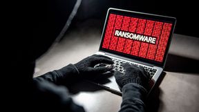 82 Prozent aller Netzwerkeinbrüche erfolgen ohne klassische Malware. Ransomware-Gruppen kaufen gestohlene Logins und sind in 72 Minuten am Ziel. (Bild: © zephyr_p - stock.adobe.com)