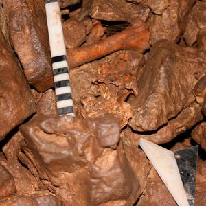 (©: Timo Seregély, Otto-Friedrich-Universität Bamberg)