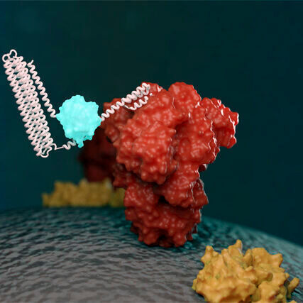 Artists conception of a biosensor detecting a target molecule.