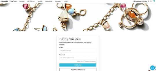 Zugangsbeschränkung für den B2B-Shop: So könnte es aussehen.(Bild:  Shopify)