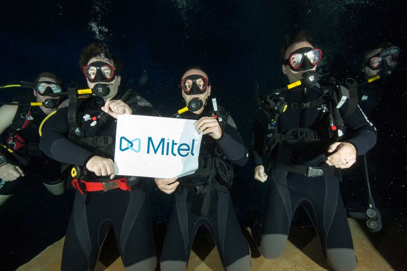 Beim Tauch-Incentive von Herweck und Mitel trafen verschiedenste Händler zusammen. (Bild: Herweck)