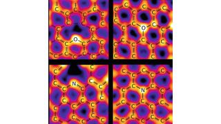 Bilder von Sauerstoff- (oben) und Stickstoffatomen (unten) in einem Kohlenstoffnetzwerk, aufgenommen im Mikroskopielabor der Universität Wien (Ausschnitt). (Christoph Hofer und Jannik Meyer / CC BY 4.0)