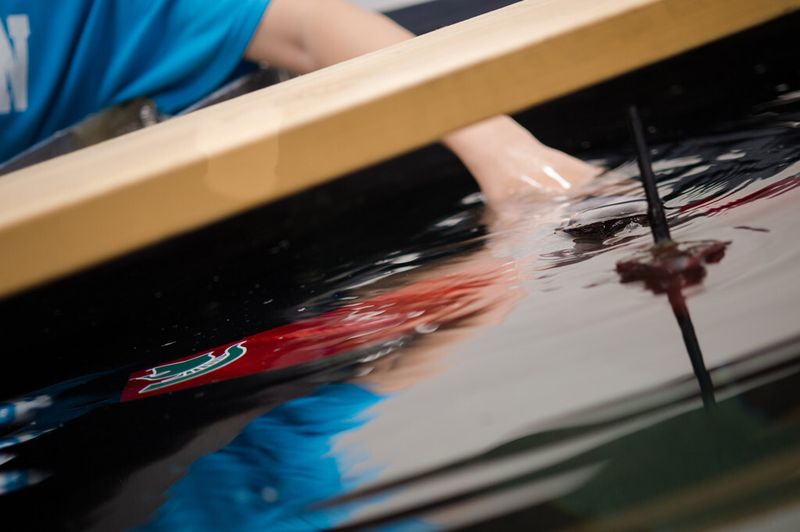 Der Roboter-Fisch Grace bei Schwimmversuchen im Labor (Michigan State University/G.L. Kohuth)