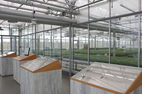 (In rund 800'000 Töpfen pro Jahr wird im Dachgewächshaus Basilikum angepflanzt. (Foto: Public Domain))