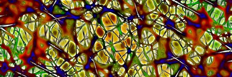 Es existieren verschiedene Varianten von künstlichen neuronalen Netzen, die für jeweils eigene Aufgaben genutzt werden. Es existieren verschiedene Varianten von künstlichen neuronalen Netzen, die für jeweils eigene Aufgaben genutzt werden.