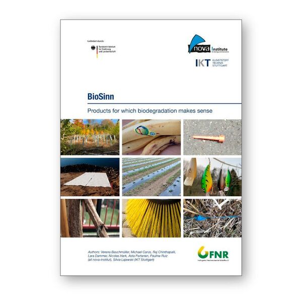 Cover of the Biosinn factsheets. (nova-Institut )
