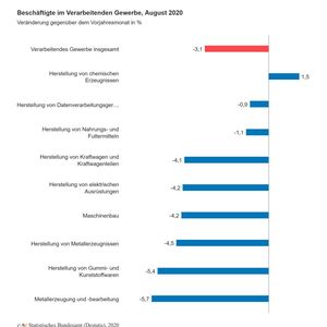 Im Vergleich zu August 2019 gingen die Beschäftigtenzahlen 2020 um 3,1 % zurück.