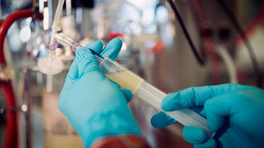 Probenentnahme aus einem Bioreaktor, der methylotrophe Bakterien enthält.(Bild:  ETH Zürich)