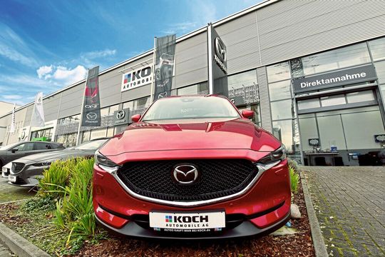 Die Berliner Koch-Gruppe gehört zu den Nutzern des neuen B2B-Auktionsportals. Die Berliner Koch-Gruppe gehört zu den Nutzern des neuen B2B-Auktionsportals.