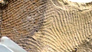 Auf der Innenseite der tönernen Öllampen sind die Fingerabdrücke deutlich zu erkennen. (Ausschnitt) (© Kimberlee S. Moran)