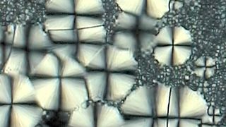 Nachhaltige Kunststoffe sind gefragt, heißt es. Doch sie könnten gerne etwas mehr aushalten, weshalb man sie mit anderen Kunststoffen zu kombinieren versucht. Weil das aber nicht ganz so einfach ist, haben sich Forscher die Grenzflächen eines Mixes vorgenommen (Symbolbild). (Bild: F. Fischer)