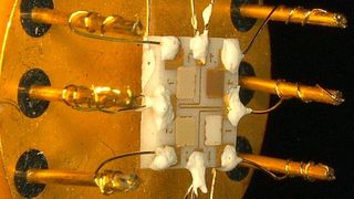 Der Sensor besteht aus vier Feldern mit unterschiedlichen Metalloxiden. Sie ändern ihren temperaturabhängigen elektrischen Widerstand bei Kontakt mit Gasen. (Bild: KIT/HsKA)