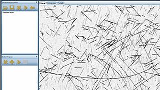 Darstellung der Fasern über die neu entwickelte Software zur Faserlängenanalyse. Erkannte Fasern werden später farblich markiert. (Bild: SKZ)