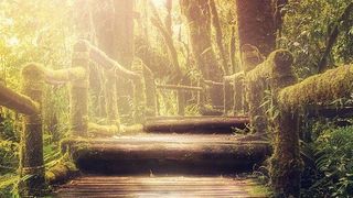 Nach zwei Jahren furiosem Cloud-Engagement im Zeichen von Corona blicken viele IT-Entscheider zurück und erschrecken ob des Wildwuchses in ihren Unternehmen.  (gemeinfrei, Darkmoon_Art / Pixabay)