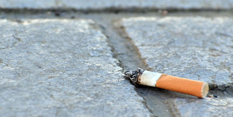 Schadstoffe aus achtlos weggeworfenen Zigarettenstummeln gelangen in die Umwelt und führen zur Verbreitung antibiotikaresistenter Keime.(Bild:  Maliflower73 - stock.adobe.com)
