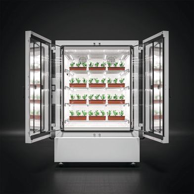 Pflanzenwachstumsschrank: Vier Ebenen mit Pflanzen (Bild: Binder)