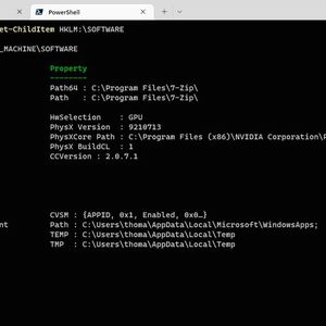 Anzeigen von Informationen aus der Registry mit der PowerShell.(Bild:  Joos (Screenshot))