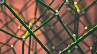 Das Internet of Things (IoT) ist ein Faktor, der zur rasanten Weiterentwicklung des WLAN beitragen wird.  (Bild: www.pixabay.com)