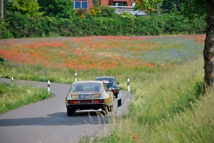 Welcher Rücken vermag mehr zu entzücken? Tolle automobile Zeitzeugen in reizvoller Umgebung. (Dominsky)
