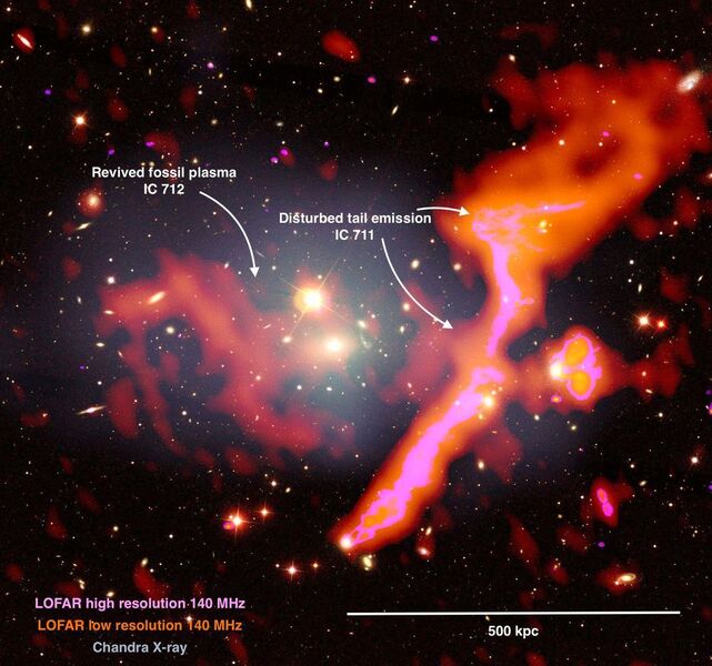 11: Der Galaxienhaufen Abell 1314 befindet sich im Ursa Major, etwa 460 Millionen Lichtjahre von der Erde entfernt. Er birgt großflächige Radioemissionen, die durch die Fusion mit einem anderen Cluster entstanden sind. Die mit dem LOFAR-Teleskop erfasste nicht-thermische Radioemission ist in rot und rosa dargestellt, die mit dem Chandra-Teleskop der NASA erfasste thermische Röntgenemission in grau. Die Aufnahmen sind zusätzlich mit einem Bild aus dem sichtbaren Lichtspektrum überlagert. (Amanda Wilber/LOFAR Surveys Team / CC BY 3.0)