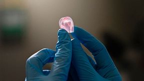 Das ist kein Gummibärchen sondern eins der an der EPFL per additiver Fertigung hergestelltes Objekt aus DNGE-Material. Es enthalt relativ steife Elastomerpartikel, eingebettet in eine weicher Matrix aus Elastomermaterial. Um durch mechanische Belastungen zu ermüden, braucht es dreimal so lange als andere Elastomere. (Bild: Titouan Veuillet)