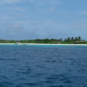 (Christian Laforsch)