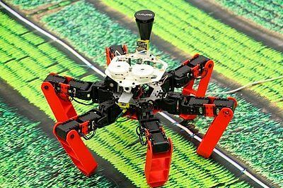 Den Bionic Award 2020 erhielt Julien Dupeyroux von der Universität Aix-Marseille für seine  Forschungsarbeit zu einem autonom navigierenden Roboter.(Bild:  Julien Dupeyroux, Universität Aix-Marseille)