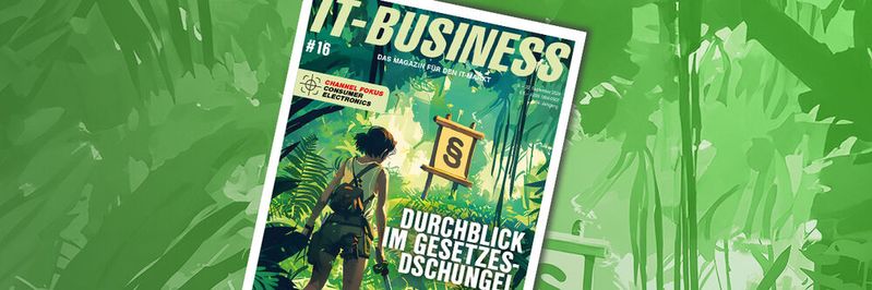 In der Titelstory der Ausgabe 16/2024 dreht sich alles um Gesetze. (Bild:  Zoheb - stock.adobe.com / [M] Udo Scherlin / KI-generiert)