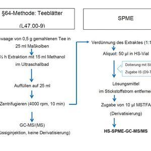 Abb. 2: Aufarbeitungsschema für Hanfblätter