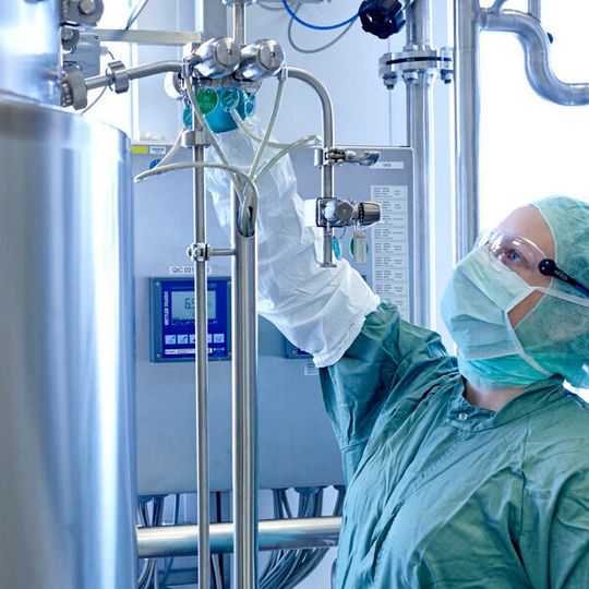 Rentschler Biopharma setzt auf die frühzeitige Integration von Prozessentwicklungsstrategien.(Bild:  Rentschler Biopharma)