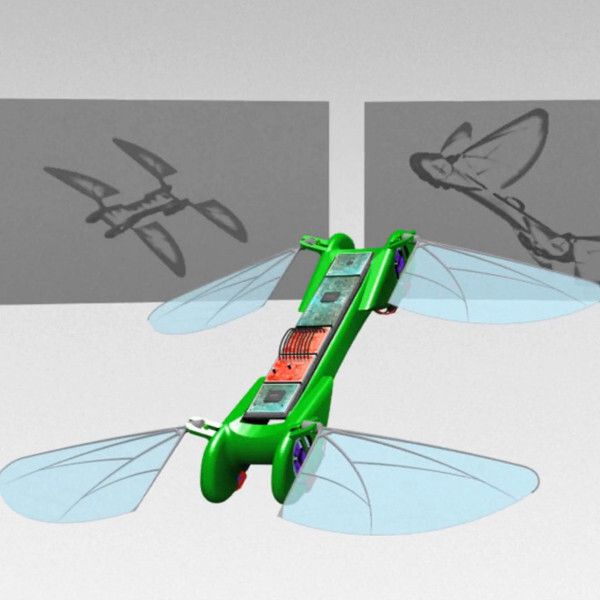 Techject Dragonfly: Eine elektrisch angetriebene Miniatur-Drohne mit den Flugeigenschaften einer Libelle und bis zu 20 Sensoren an Bord hat ein amerikanisches Forscherteam Anfang November vorgestellt. Der Ornithopter passt auf eine Handfläche und kombiniert die überragenden Flugeigenschaften von Quadrokopters, Helikopter und einem Flugzeug mit festen Tragflächen. (Bild: TechJect)
