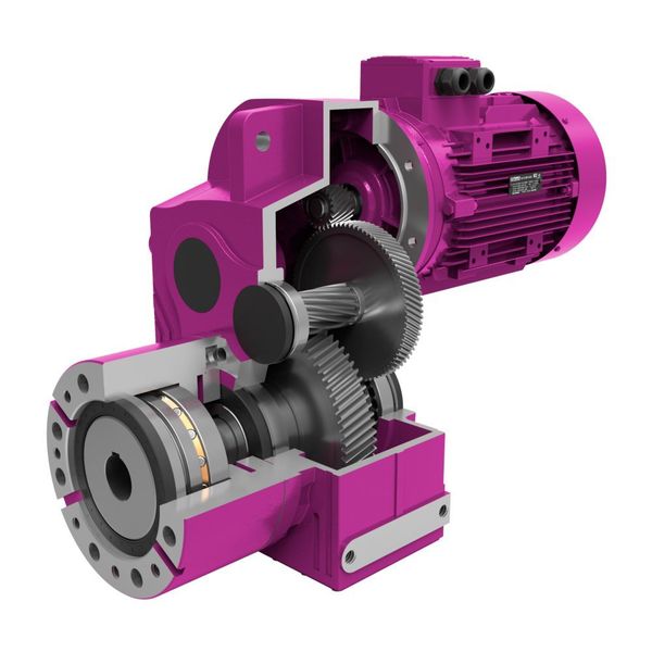 Die Baureihe DRE beinhaltet Stirnradgetriebe, in denen die Achsen des Elektromotors und des Axiallagergehäuses parallel zueinanderstehen.  (Yilmaz Redüktör)
